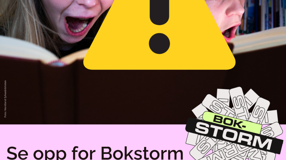 Lenke til artikkel: Litteraturfestivalen Bokstorm blåser inn litterære opplevelser for barn og unge i Nordland 