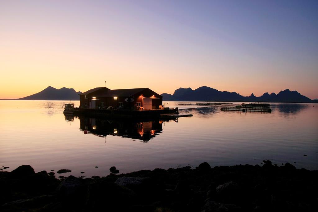 Bilde av oppdrettsanlegg i vinterlys med øy og landskap i bakgrunnen. - Klikk for stort bilde