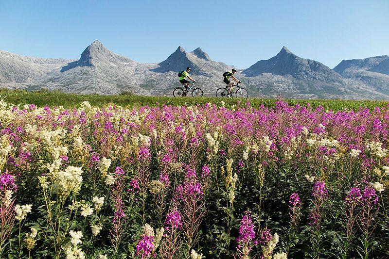 Syklister foran fjell - Klikk for stort bilde