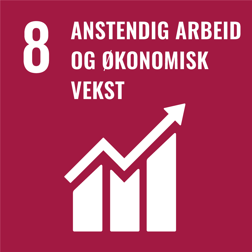 Bildet viser FNs bærekraftsmål 9: Anstendig arbeid og økonomisk vekst. - Klikk for stort bilde