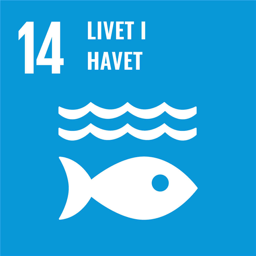 Bildet viser FNs bærekraftsmål 14: Livet i havet. - Klikk for stort bilde