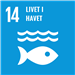 Bildet viser FNs bærekraftsmål 14: Livet i havet. - Klikk for stort bilde
