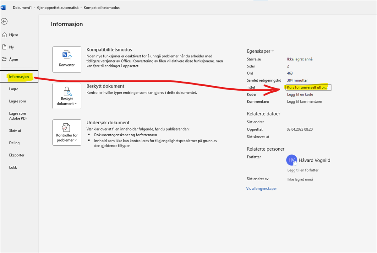 under informasjon finner du metadata - Klikk for stort bilde
